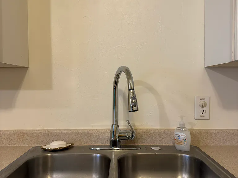 Brand new sink faucet with fancy sprayer.