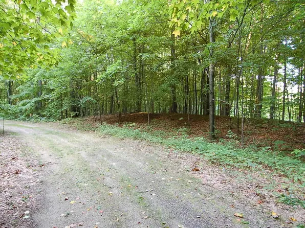 11000 Highland Dr, Marion, MI 49665