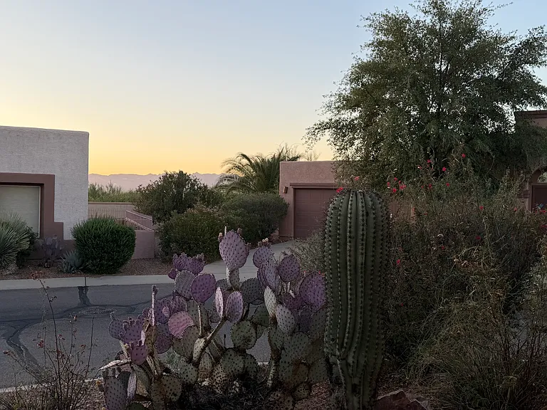 1136 W Calle Querida — Photo 12