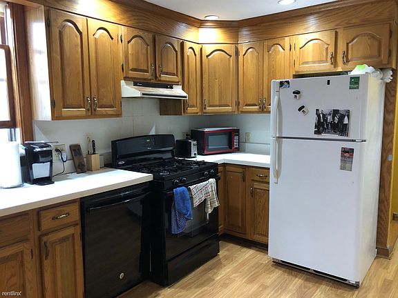 338 K #1 Boston (South Boston) Shared Unit Photo 3