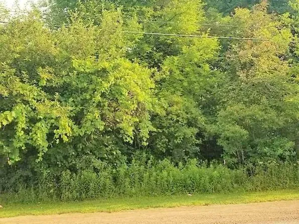 Lapeer Rd, Davison, MI 48423