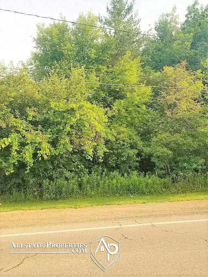 Lapeer Rd photo 1