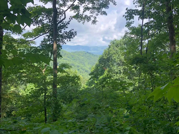 Paul Blevins Rd, Hampton, TN 37658