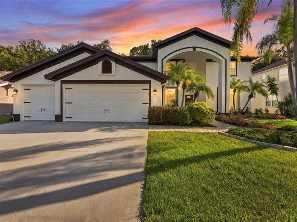 10102 VISTA POINTE DR, TAMPA, FL 33635