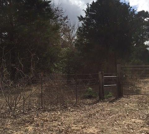 3rd image of County Road 452