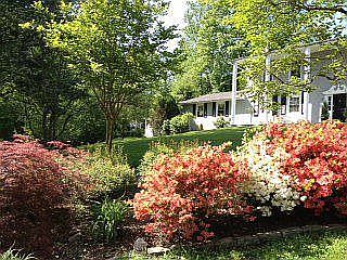 terra estate