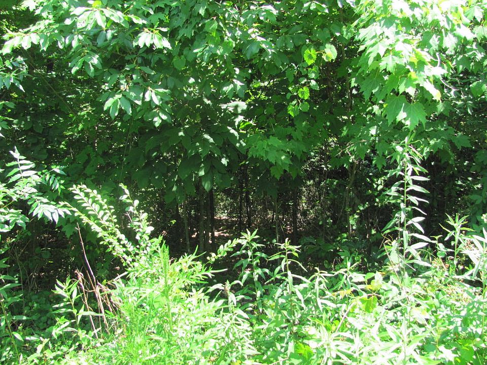 2nd image of 157 Chahyga Way