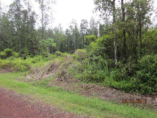 4th image of Bamboo Dr Lot 58