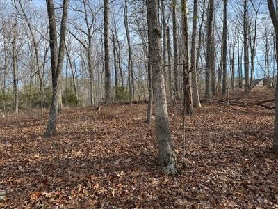 37 Chestnut Dr, Hardy, VA, 24101