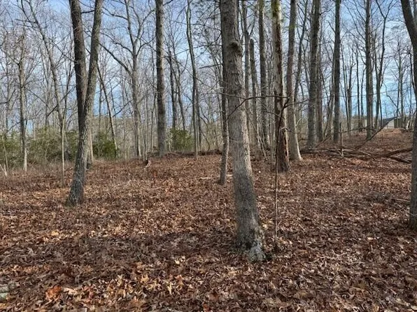 37 Chestnut Dr, Hardy, VA 24101