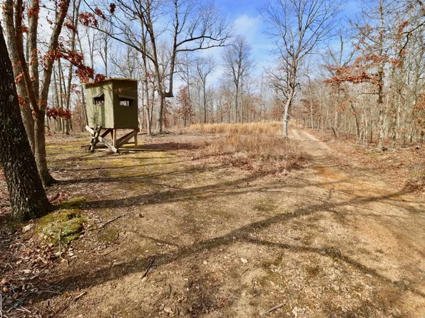 0 Baker Cemetery Rd #0, Williford, AR 72482