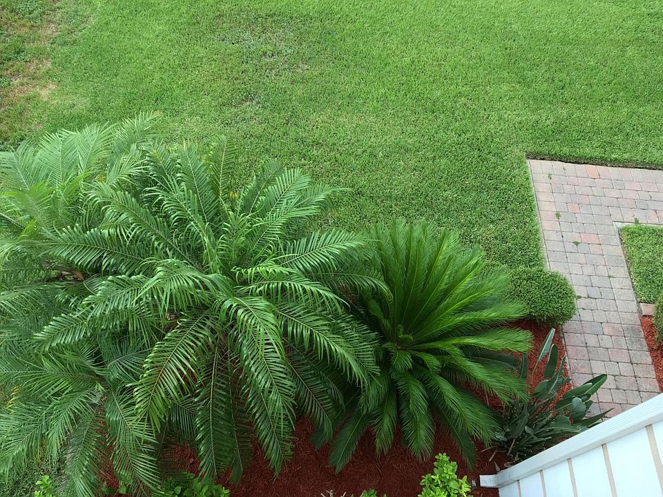 2nd image of 2556 Laurel Blossom Cir