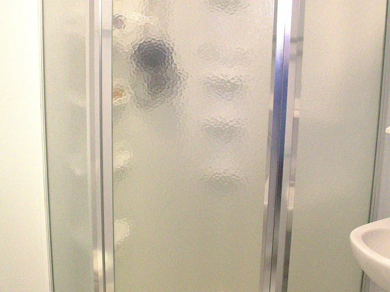 Primary shower