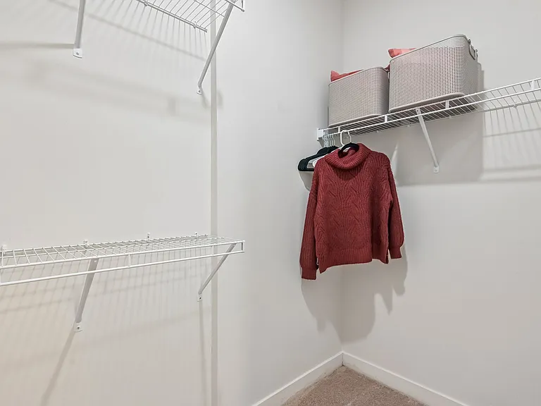 The Line — Photo 15
