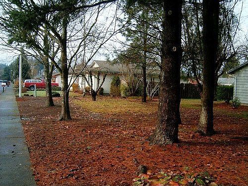 5th image of 1231 NE 9th Ave