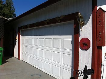 IMG_1790.jpg
