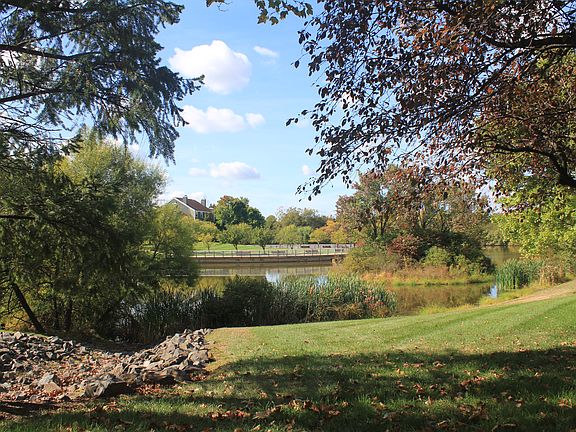 Pond