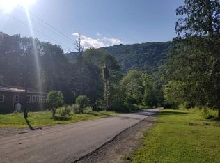 11 Deer Ln, Shandaken, NY 12410