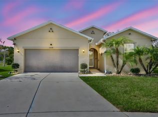 10567 Laguna Plains Dr, Riverview, FL 33578
