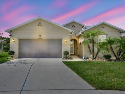 10567 Laguna Plains Dr, Riverview, FL, 33578