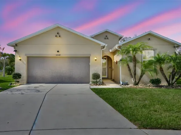 10567 Laguna Plains Dr, Riverview, FL 33578