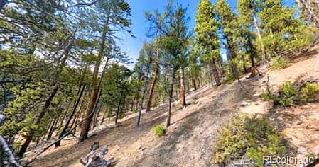 4th image of 111 Kevin Gulch Road