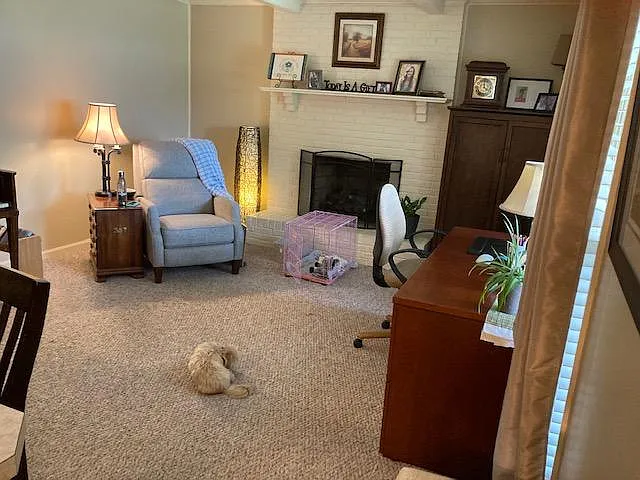 Family room with gas logs in fireplace
