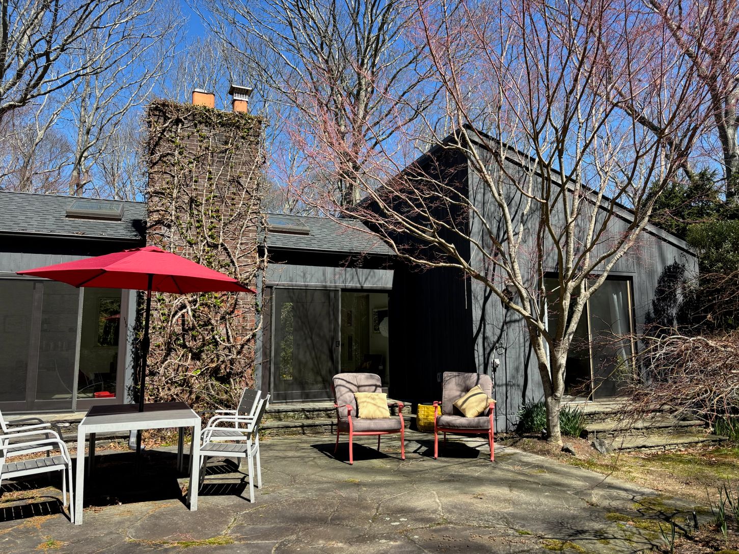 Back garden