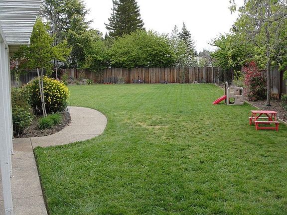 Rear yard looking east