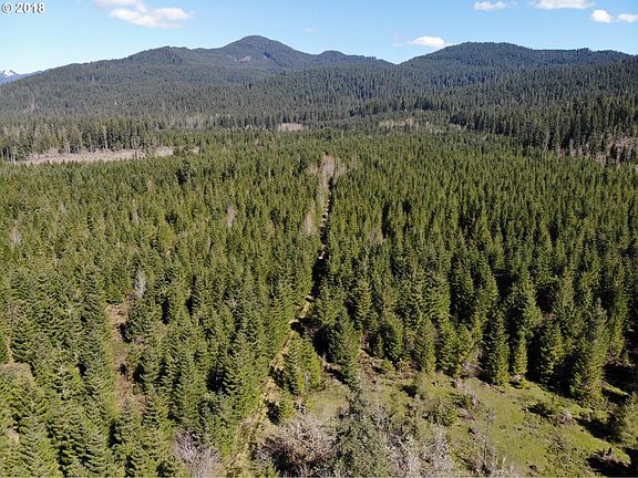 4th image of 10882 Wind River Hwy