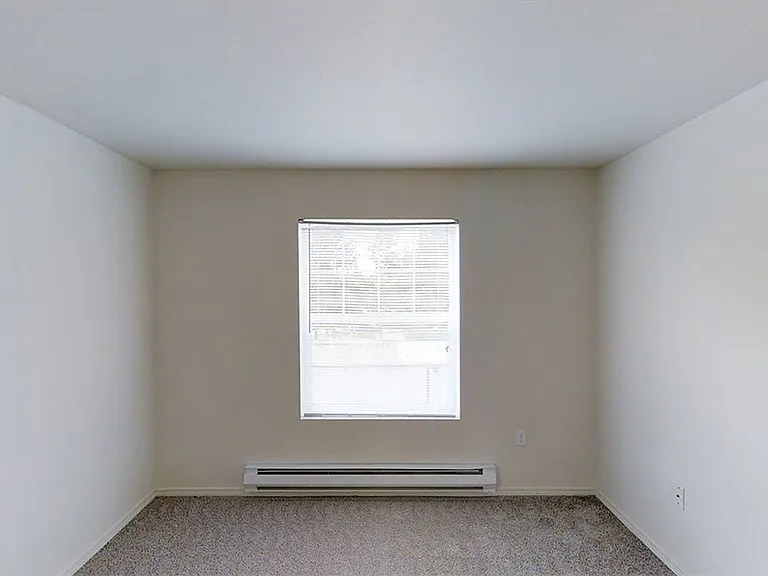 Spacious apartment bedroom with plush carpet flooring.