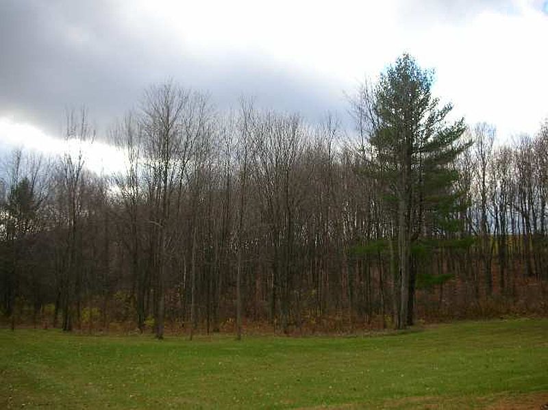 4th image of 11 WOODS EDGE Lane