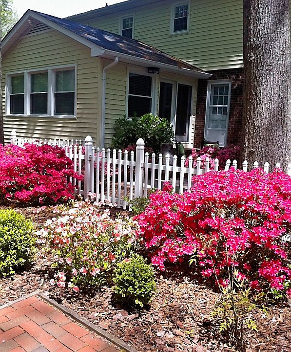 2nd image of 1120 Ridgecrest Ave
