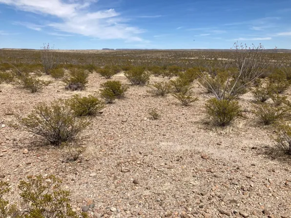 3131 Ranch Road 169, Marfa, TX 79843