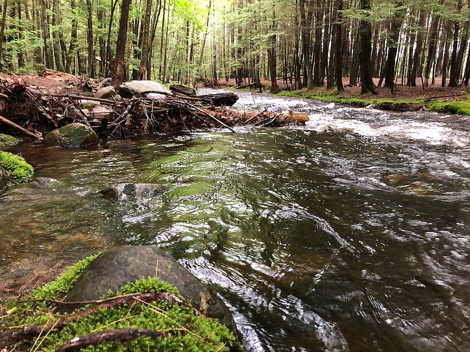 Walk to Amethyst Brook