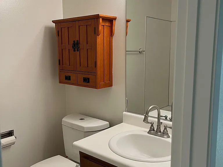 Downstairs bathroom