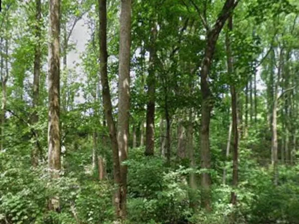 Hughes Shop Rd, Westminster, MD 21158
