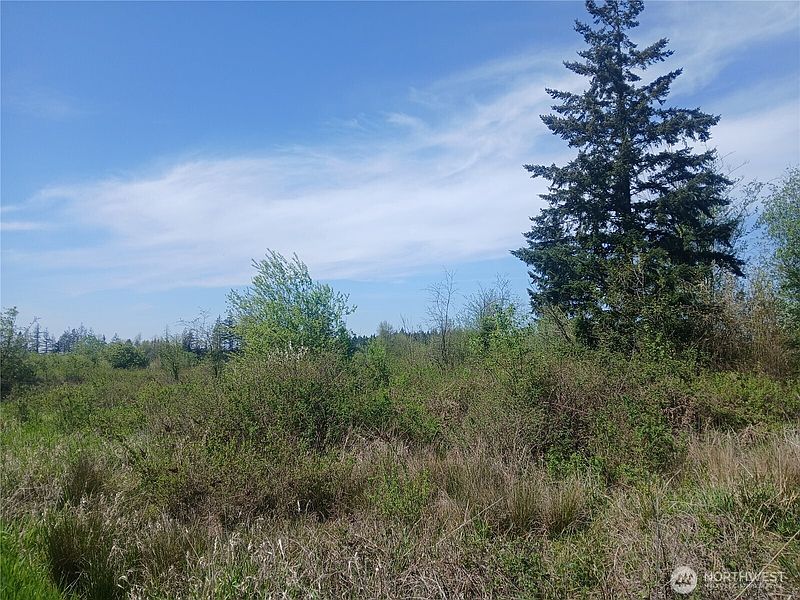 2nd image of 456 Meier Road