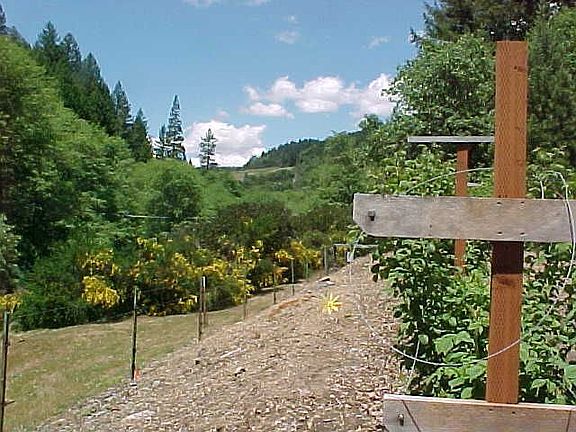 Garden above river