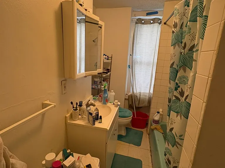 12 Mount Pleasant Ave #1 — Photo 7