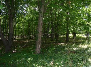 Baldwin St, West Olive, MI 49460