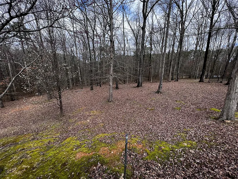 341 Plum Hollow Blvd — Photo 29