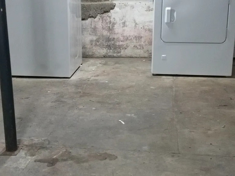 1521 Elmwood Ave — Photo 11