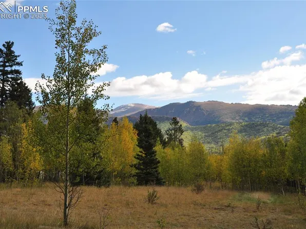 633 County Road 61 Rd, Cripple Creek, CO 80813