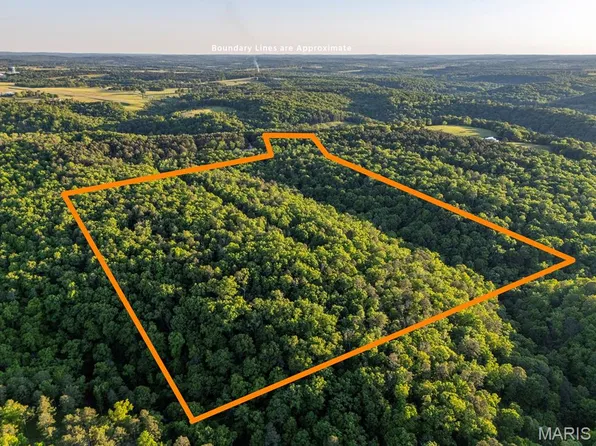 37/forrest Dr, Houston, MO 65483