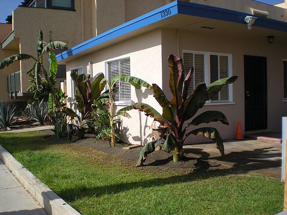 4th image of 1330 S Pacific St #1