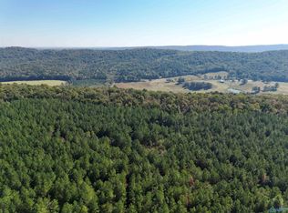 Mountain Dr, Remlap, AL 35133