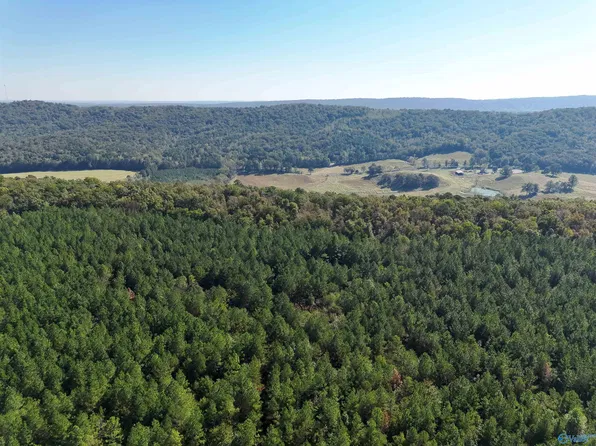 Mountain Dr, Remlap, AL 35133