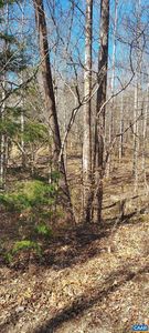460 Jefferson Dr, Palmyra, VA, 22963