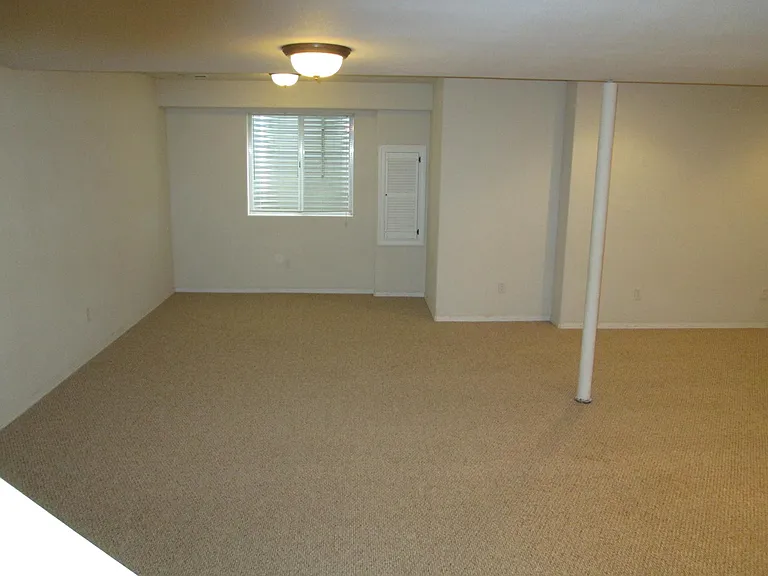 Large finished basement area